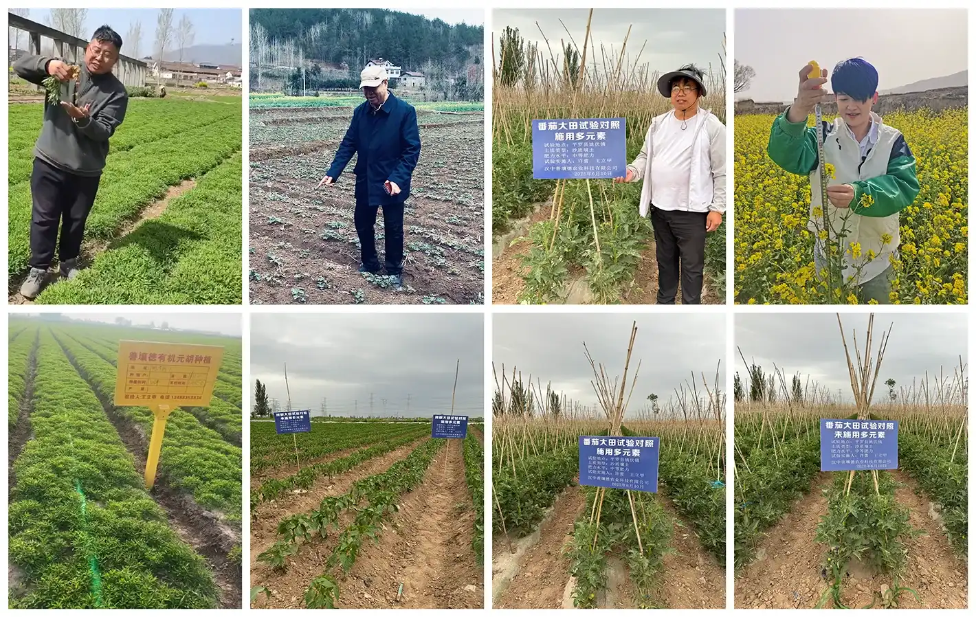 Quality Assurance Center