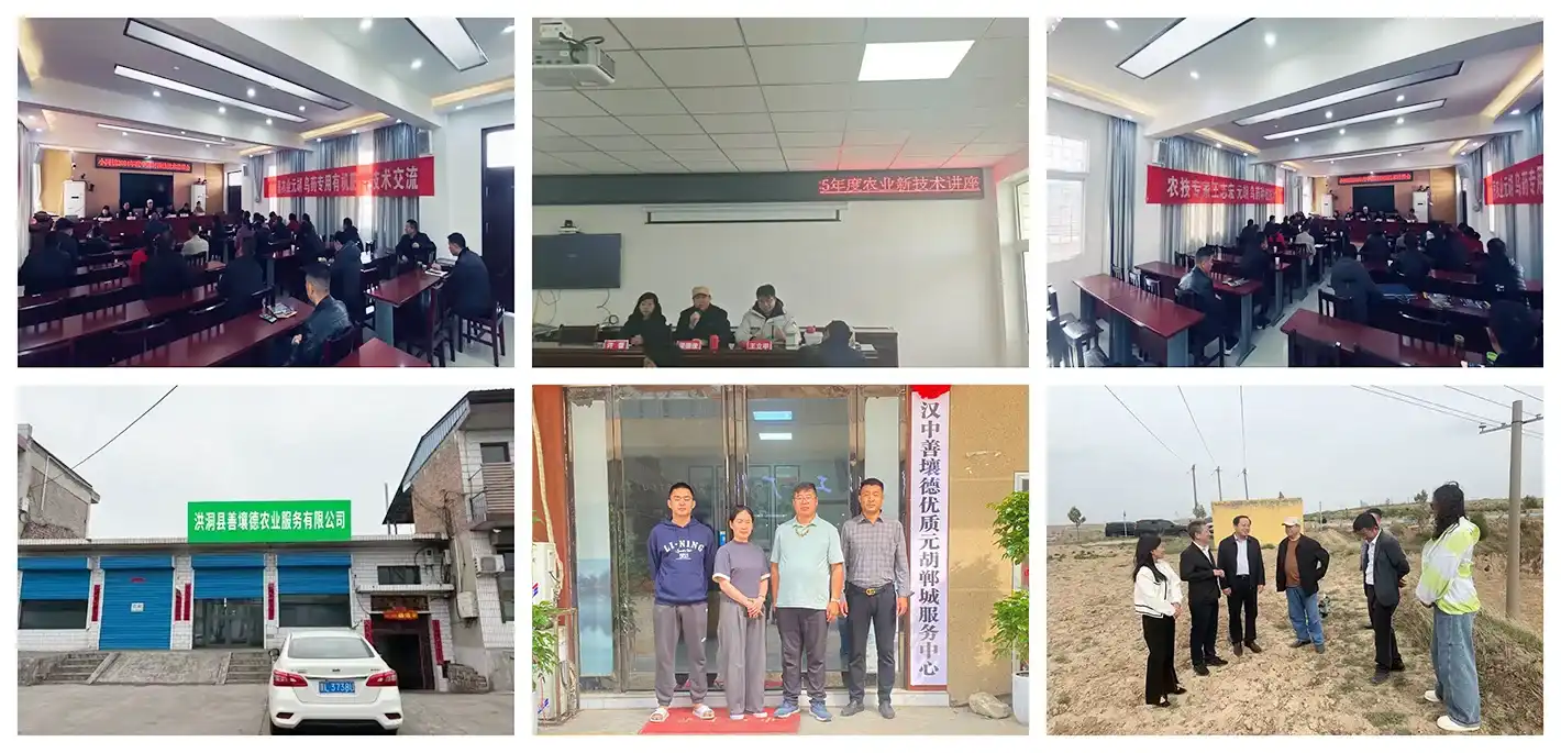 Technical Leadership