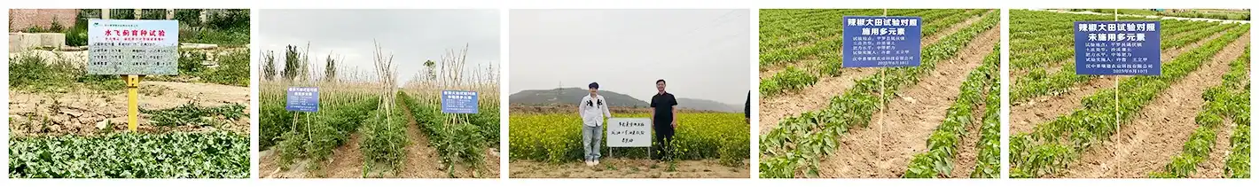 Quality Assurance Center