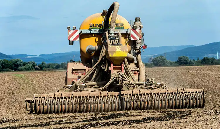 Comparing-Fertilizer-Options-for-Milk-Thistle-Cultivation