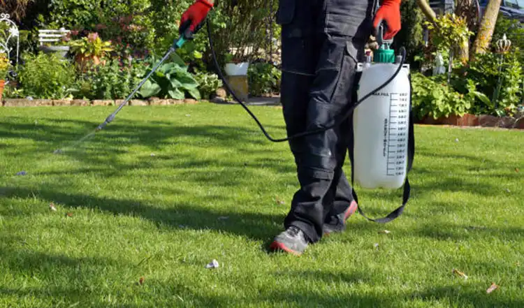 Choosing-the-Best-Balanced-Liquid-Fertilizer-for-Turf-in-2026