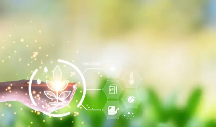 Procurement-Insights-for-Balanced-Liquid-Fertilizers