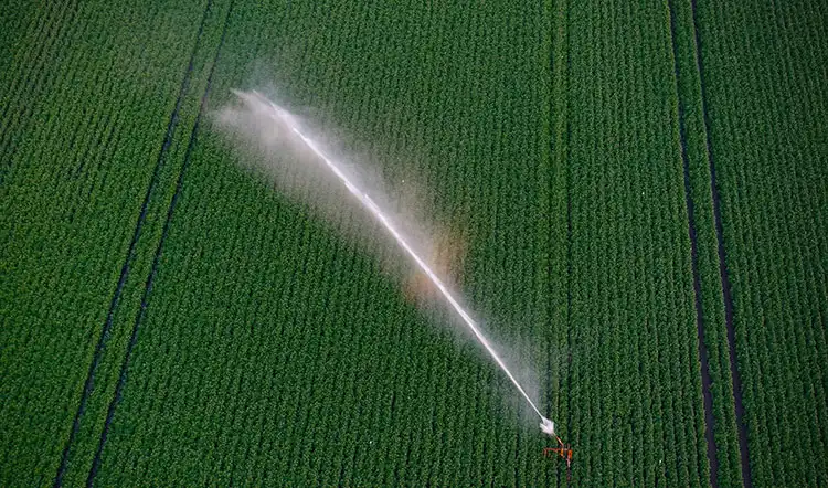 Integration-and-Environmental-Impact-of-Water-Soluble-Micronutrient-Fertilizers