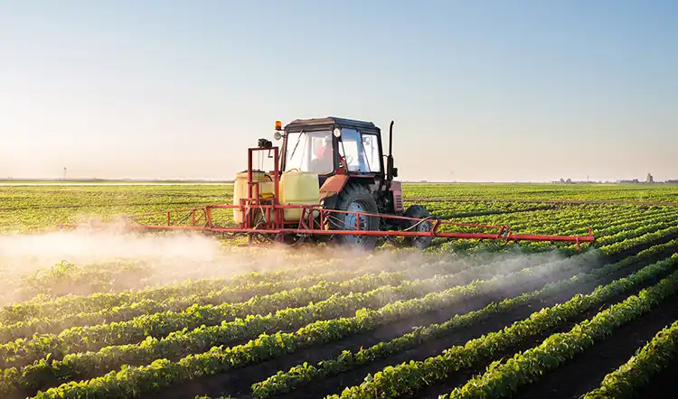 Micronutrient-Water-Soluble-Fertilizers