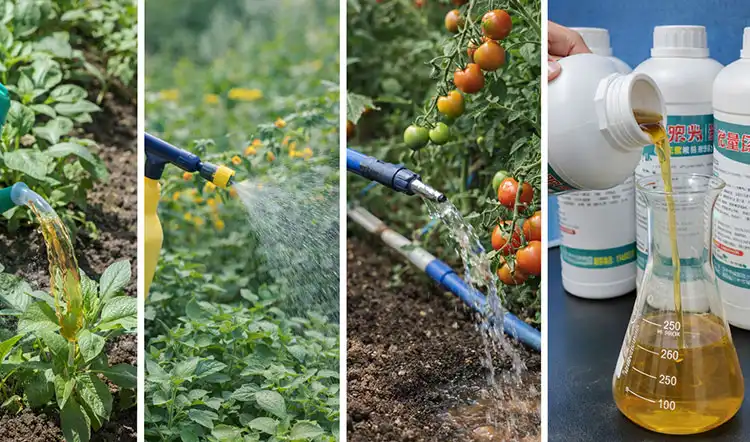 Practical-Application-Tips-for-Balanced-Liquid-Fertilizer