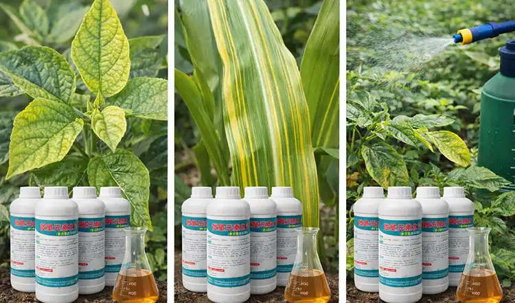 Key-Micronutrients-and-Their-Impact-on-Crop-Growth Key-Micronutrients-and-Their-Impact-on-Crop-Growth