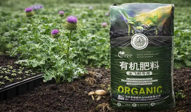 How-to-Select-the-Best-Silybum-marianum-Organic-Fertilizer