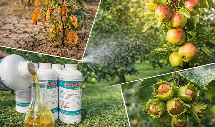 Core-Benefits-That-Transform-Tree-Performance