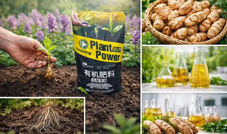 Key-Benefits-of-Using-Gastrodia-Specialized-Fertilizer