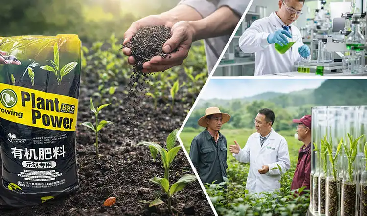 Comparing-Sciground's-Solution-with-Alternatives