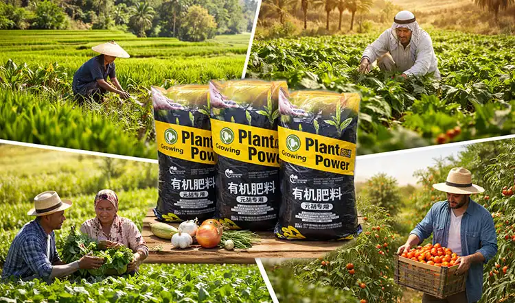 Regional-Market-Analysis-for-Cordydalis-Fertilizer-Supply