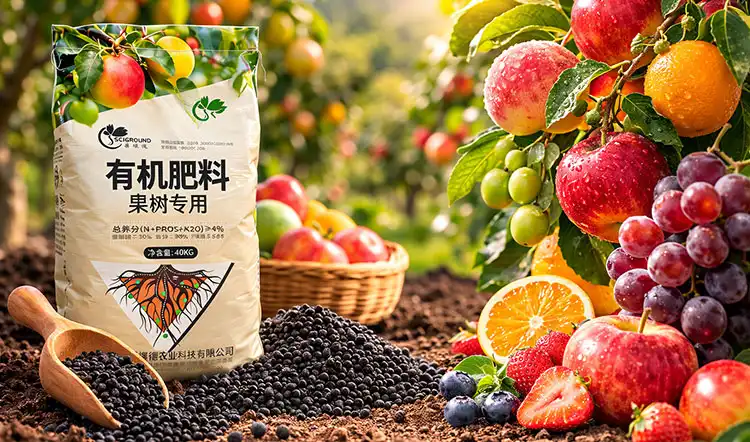 Understanding-NPK-Ratios-and-Their-Role-in-Fruit-Tree-Nutrition