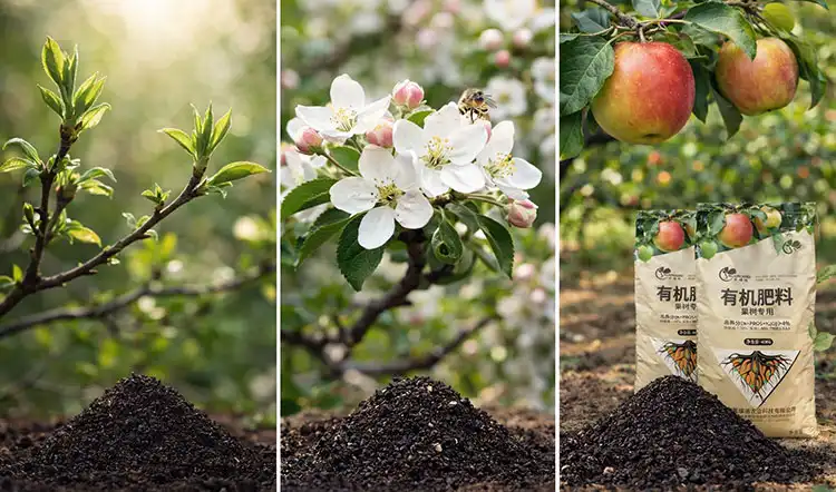 Determining-the-Ideal-NPK-Ratio-Based-on-Fruit-Tree-Growth-Stages