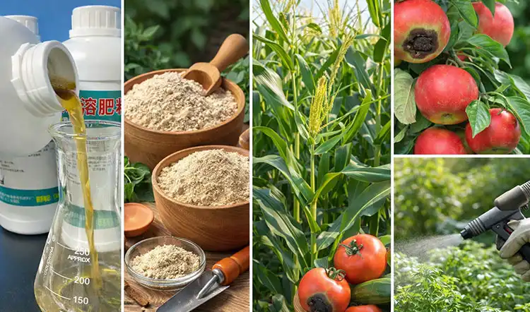 Types-of-Organic-Foliar-Fertilizers-and-Their-Applications