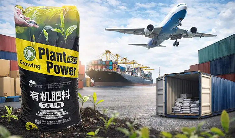 Buying-Gastrodia-Specialized-Fertilizer-for-Global-B2B-Clients