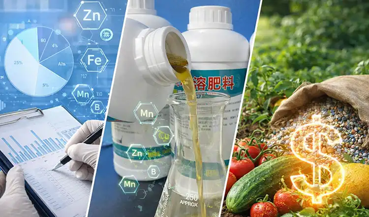 How-to-Choose-the-Best-Micronutrient-Fertilizer-for-Your-Business-Needs How-to-Choose-the-Best-Micronutrient-Fertilizer-for-Your-Business-Needs