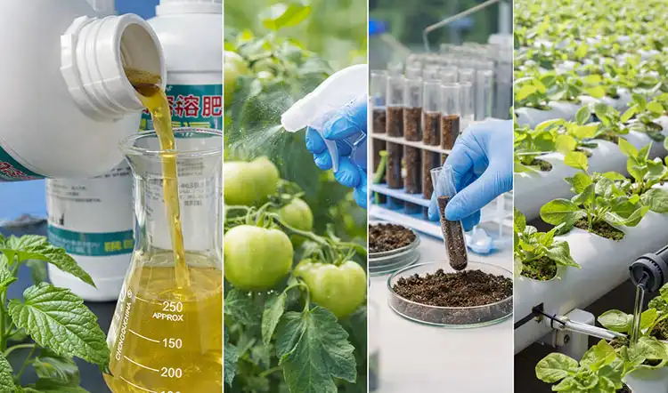 Advantages-of-Water-Soluble-Micronutrient-Fertilizers