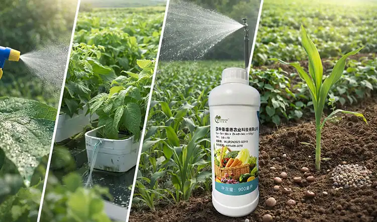 Application-Methods-and-Timing-Considerations