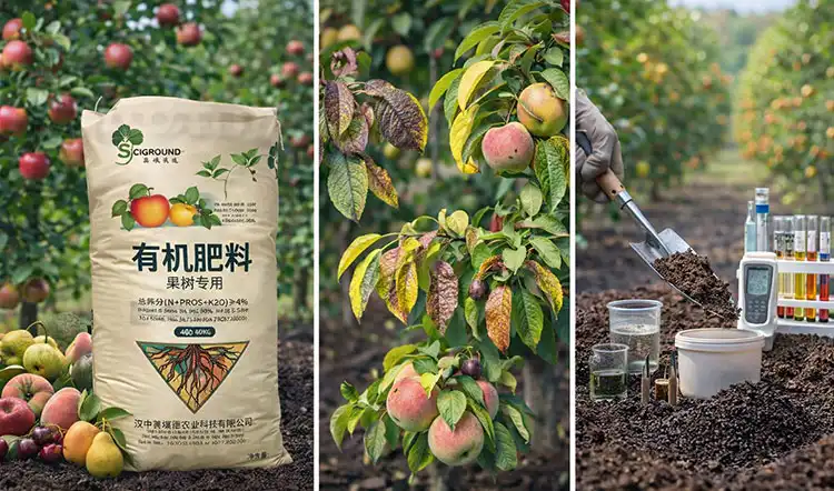 How-to-Choose-the-Best-Fertilizer-for-Your-Fruit-Trees How-to-Choose-the-Best-Fertilizer-for-Your-Fruit-Trees