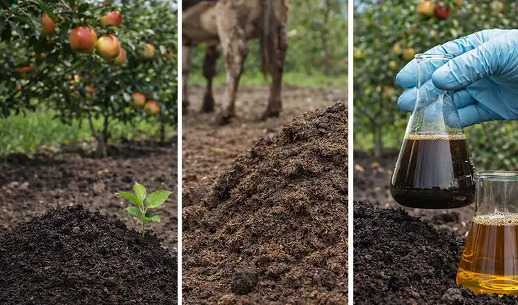 Key-Types-and-Nutrient-Profiles-of-Organic-Fertilizers-for-Fruit-Trees