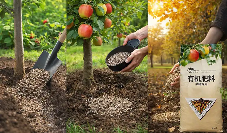 How-to-Use-Organic-Fertilizer-on-Fruit-Trees-for-Optimal-Growth