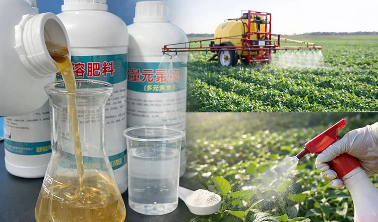 How-to-Use-Water-Soluble-Fertilizers-Effectively