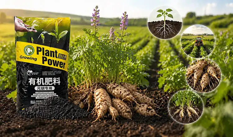 Key-Benefits-of-Cordydalis-Tuber-Organic-Fertilizer-for-Commercial-Agriculture