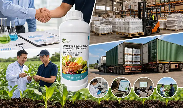 Micronutrient-Fertilizer-Suppliers-and-Procurement-Strategies-for-B2B-Clients Micronutrient-Fertilizer-Suppliers-and-Procurement-Strategies-for-B2B-Clients