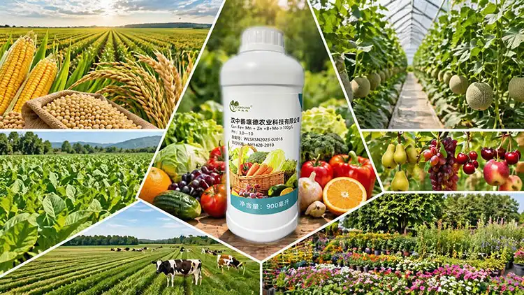 Water-Soluble-Micronutrient-Fertilizer-Scope-of-Application