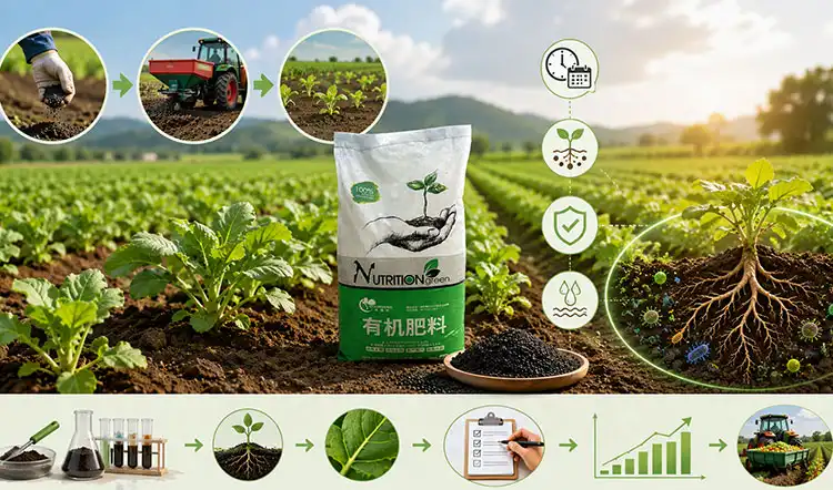 How-to-Implement-Eco-Friendly-Fertilizers-for-Optimal-Results