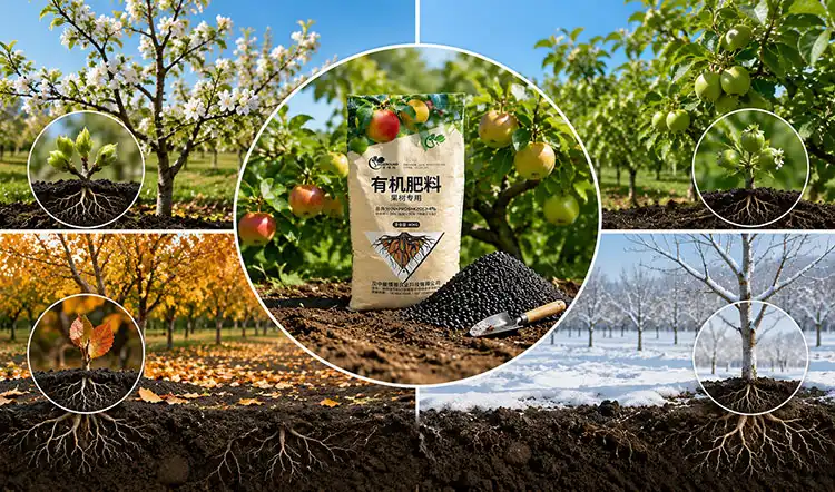 Best-Times-to-Apply-Fruit-Tree-Fertilizer-Throughout-the-Year