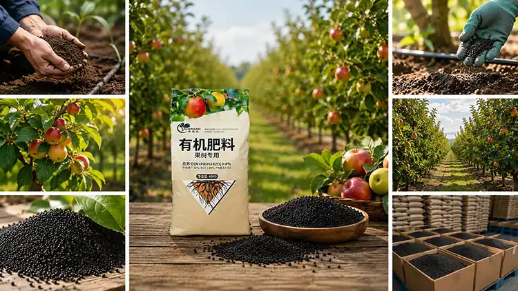 Key-Considerations-When-Choosing-Wholesale-Organic-Fertilizer-for-Fruit-Trees