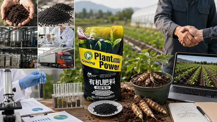 Evaluating-and-Selecting-the-Best-Fertilizer-Suppliers-for-Cordydalis-Tuber