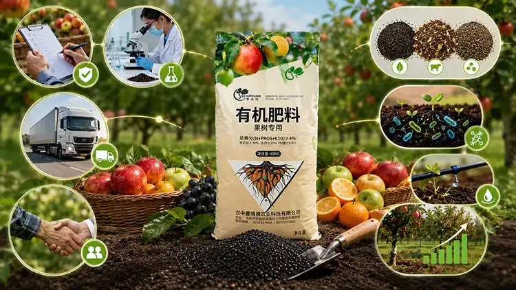 Selecting-a-Trusted-Fruit-Tree-Organic-Fertilizer-Manufacturer-for-Custom-Formulas Selecting-a-Trusted-Fruit-Tree-Organic-Fertilizer-Manufacturer-for-Custom-Formulas