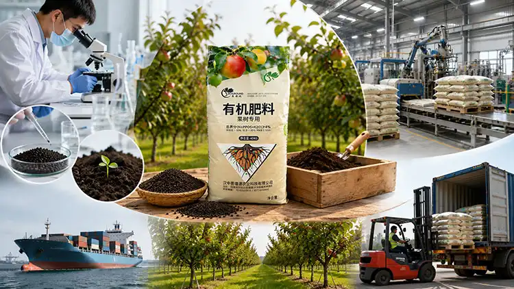Key-Criteria-to-Evaluate-When-Choosing-a-Bulk-Supplier-of-Fruit-Tree-Organic-Fertilizer