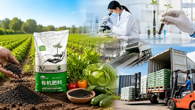Key-Benefits-of-Collaborating-with-a-Leading-Organic-Fertilizer-Supplier