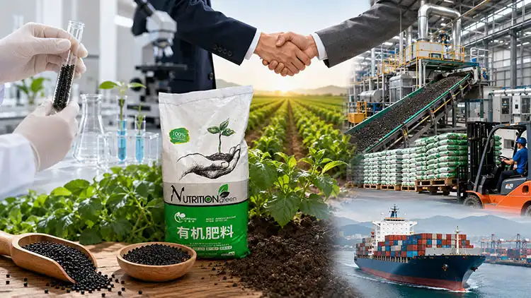 How-to-Choose-the-Right-Organic-Fertilizer-Supplier-for-Your-Business