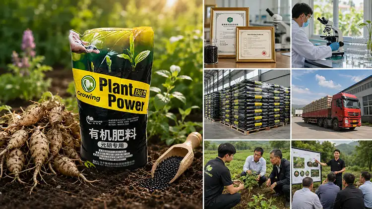 Procurement-Considerations-for-Cordydalis-Tuber-Fertilizer Procurement-Considerations-for-Cordydalis-Tuber-Fertilizer