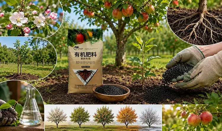 How-Often-Should-You-Fertilize-Fruit-Trees How-Often-Should-You-Fertilize-Fruit-Trees