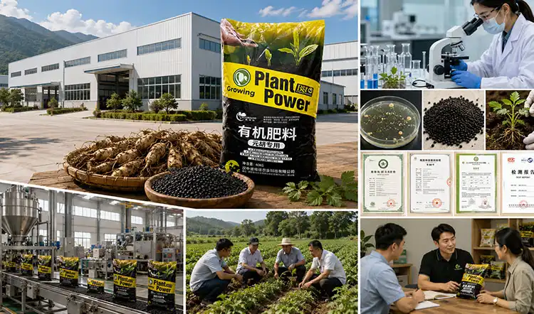 Procurement-Insights-Sourcing-Quality-Corydalis-Tuber-Organic-Fertilizer-for-B2B-Clients