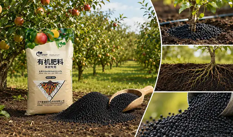 Comparing-Fertilizer-Types-Making-an-Informed-Choice