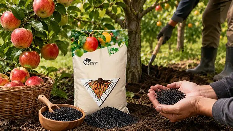 How-to-Use-Organic-Fertiliser-Safely-and-Effectively-on-Fruit-Trees How-to-Use-Organic-Fertiliser-Safely-and-Effectively-on-Fruit-Trees