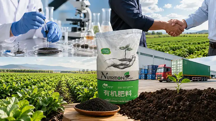 How-to-Choose-the-Right-Organic-Fertilizer-Supplier-for-Your-Business