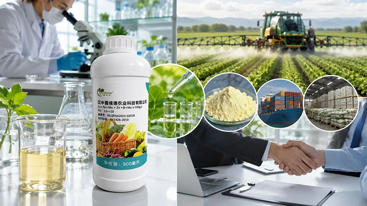 Choosing-the-Right-Foliar-Fertilizer-Supplier-and-Product-–-Insights-for-Procurement-Managers