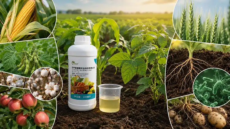 Benefits-of-Using-Micronutrient-Fertilizers-for-Crop-Performance-and-Soil-Health