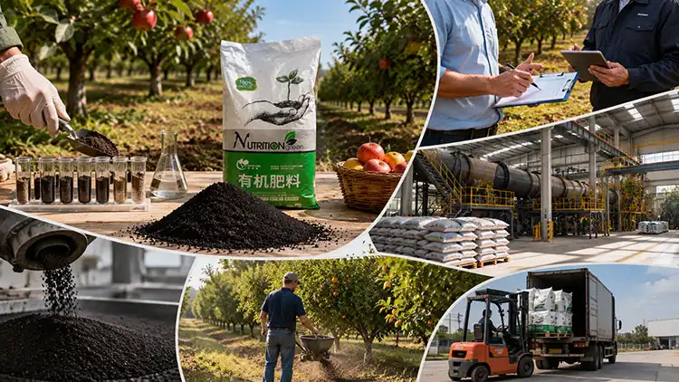 How-to-Choose-the-Right-Organic-Fertilizer-Supplier-for-Your-Orchard How-to-Choose-the-Right-Organic-Fertilizer-Supplier-for-Your-Orchard