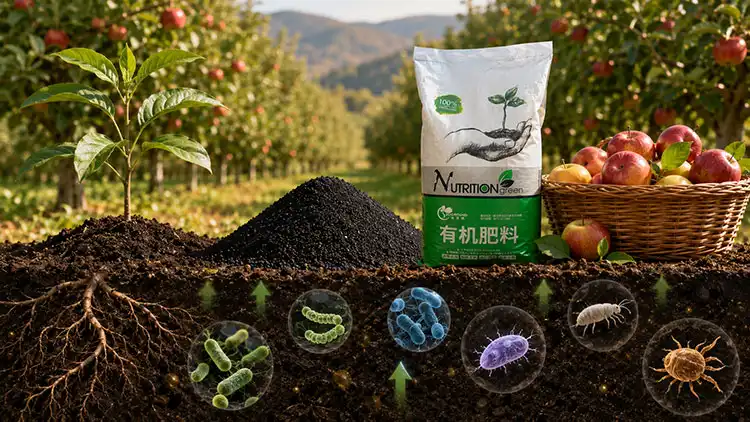 Environmental-and-Economic-Impact-of-Choosing-Organic-Fertilizer-Suppliers