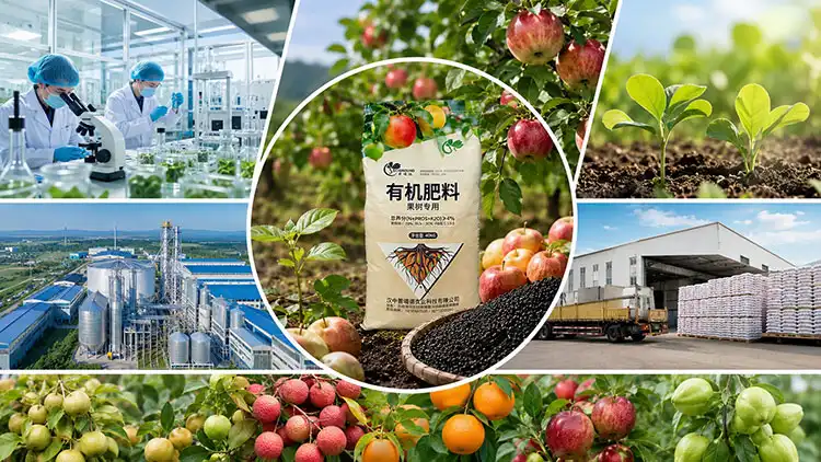 Key-Factors-in-Choosing-a-Fruit-Tree-Organic-Fertilizer-Manufacturer