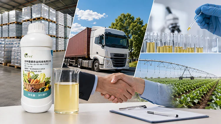Procurement-Considerations-for-B2B-Buyers-of-Micronutrients-Water-soluble-Fertilisers
