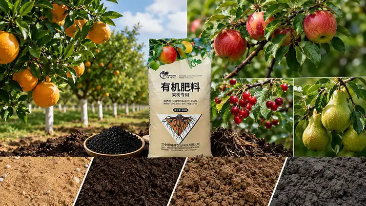 Choosing-the-Right-Fertiliser-for-Different-Fruit-Tree-Types-and-Soil-Conditions
